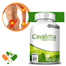 Cavalinha 500mg 60 Cápsulas
