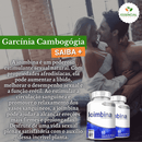 Ioimbina 500mg 60 Cápsulas