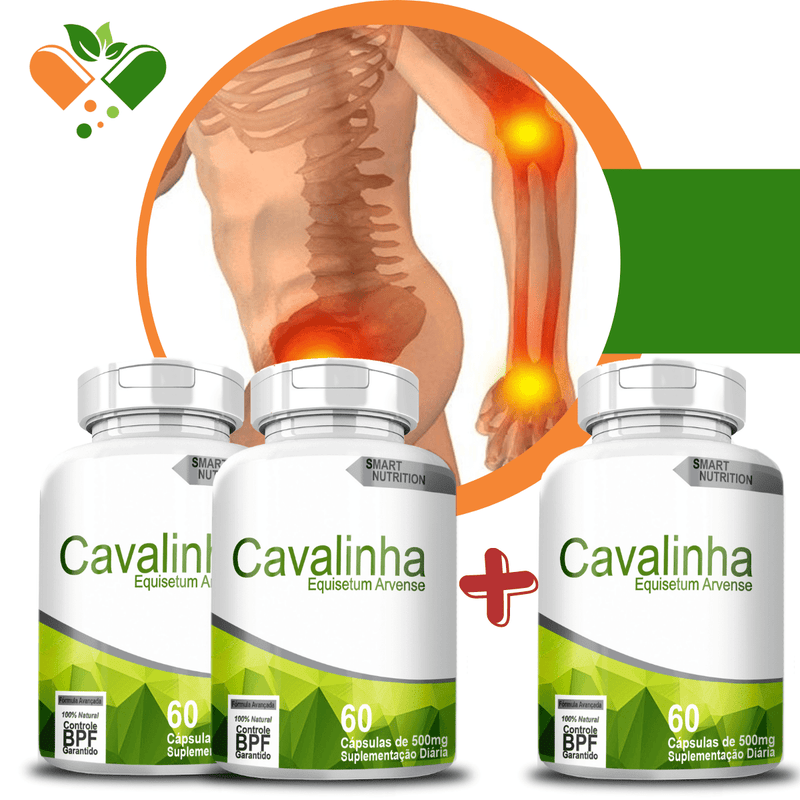 Compre 2 Leve 3 Potes Cavalinha 500mg 60 Cápsulas