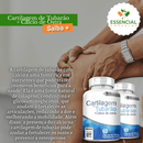 Cartilagem De Tubarão C/ Cálcio De Ostra 800mg 60 Cápsulas