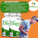 Oliveira Extrato 500mg 60 Cápsulas