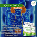 Quebra Pedra 500mg 60 Cápsulas