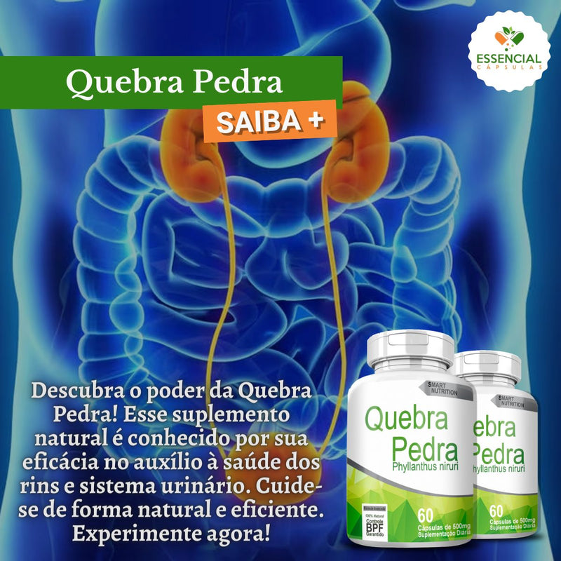 Kit com 3 Quebra Pedra 500mg 60 Cápsulas