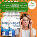 Cartilagem De Tubarão 500mg 60 Cápsulas