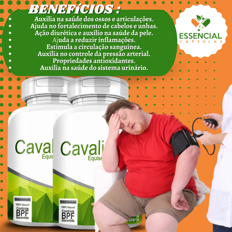 Kit com 5 Potes Cavalinha 500mg 60 Cápsulas