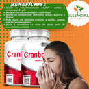 Cranberry 500mg 60 Cápsulas