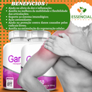 Garra D 500mg 60 Cápsulas