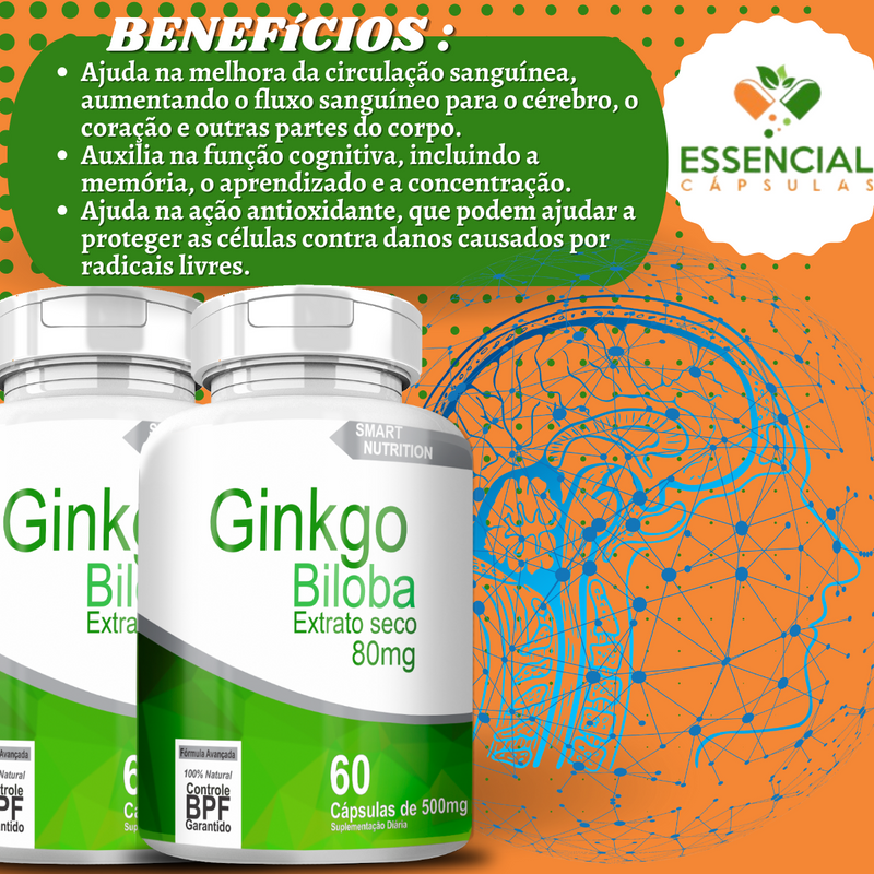 Ginkgo Biloba Extrato Seco ( 80mg ) 500mg 60 Cápsulas