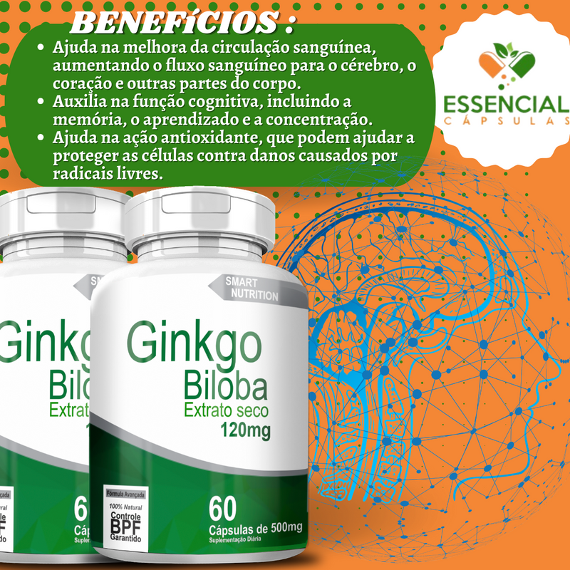 Kit com 3 Ginkgo Biloba Ext. Seco(120mg) 500mg 60 Cápsulas