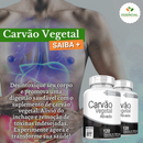 Carvão Vegetal 500mg 120 Cápsulas