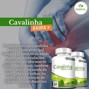 Cavalinha 500mg 60 Cápsulas