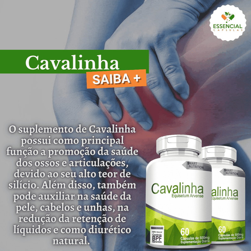 Kit com 5 Potes Cavalinha 500mg 60 Cápsulas