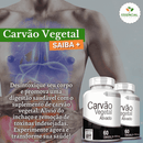 Carvão Vegetal 500mg 60 Cápsulas