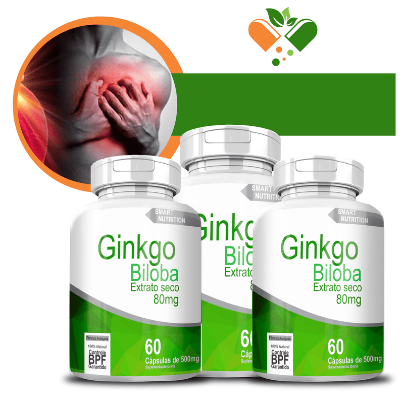 Kit com 3 Ginkgo Biloba Extrato Seco ( 80mg ) 500mg 60 Cápsulas