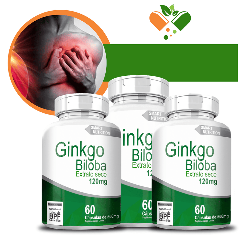 Kit com 3 Ginkgo Biloba Ext. Seco(120mg) 500mg 60 Cápsulas