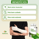 ERVA BALEEIRA 60 CÁPSULAS