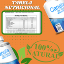 Canela De Velho 500mg 60 Cápsulas