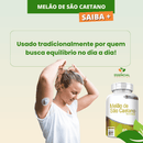 MELÃO DE SÃO CAETANO 60 CÁPSULAS