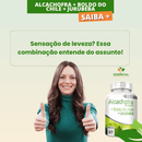 ALCACHOFRA COMPOSTA 100 CÁPSULAS