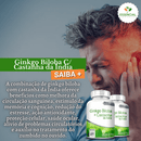 Ginkgo Biloba Com Castanha Da Índia 500mg 60 Cápsulas