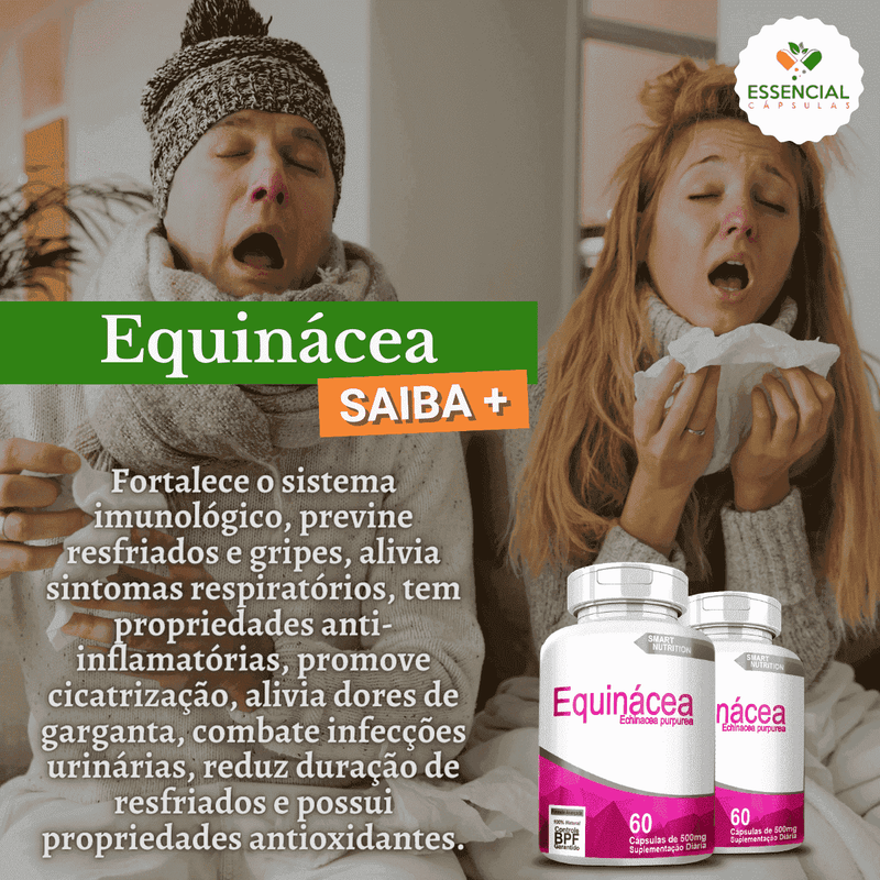 Kit com 3 Equinácea 500mg 60 Cápsulas