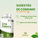ERVA BALEEIRA 60 CÁPSULAS