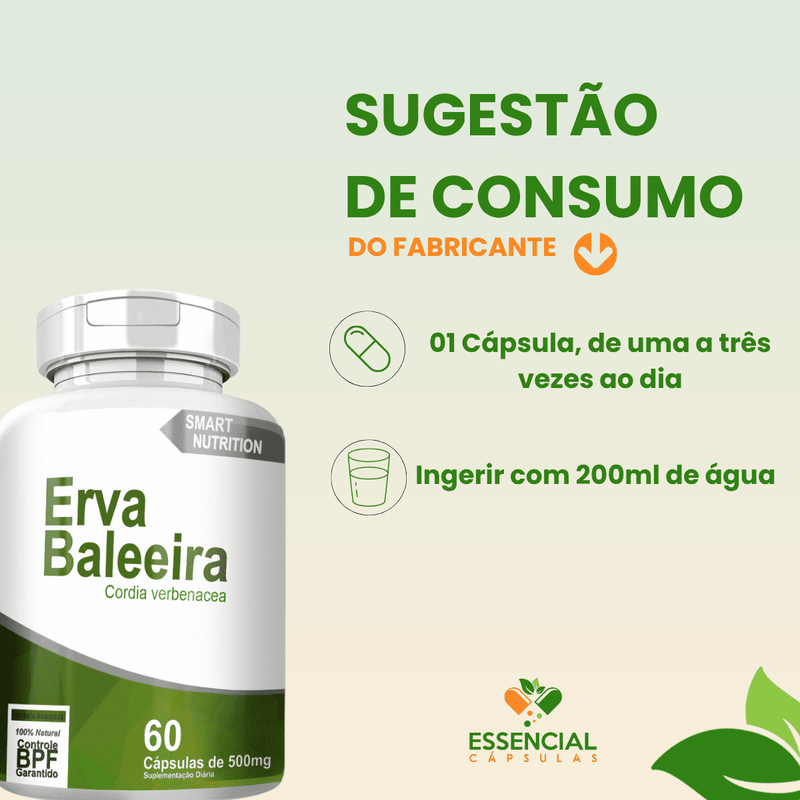 ERVA BALEEIRA 60 CÁPSULAS