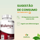 MULUNGU 60 CÁPSULAS