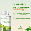 ALCACHOFRA COMPOSTA 100 CÁPSULAS