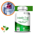 Intestin-trat Composto 500mg 60 Cápsulas