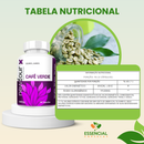 CAFÉ VERDE 60 CÁPSULAS