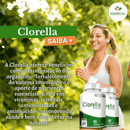 Clorella 500mg 60 Cápsulas