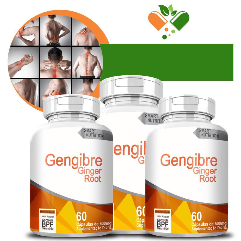 Kit com 3 Potes Gengibre 500mg 60 Cápsulas