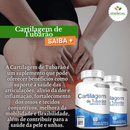 Cartilagem De Tubarão 500mg 60 Cápsulas